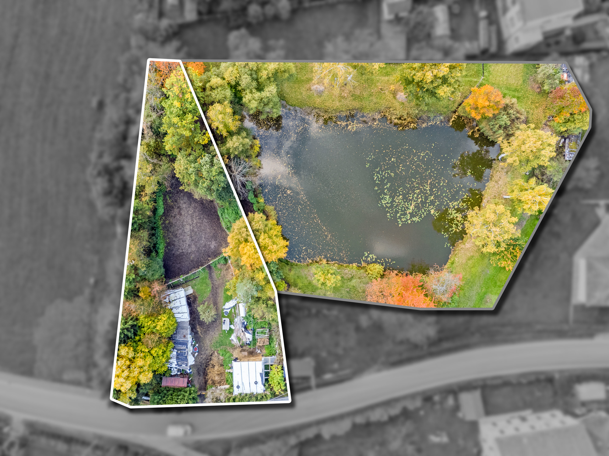 omegavisuals-final-edit-e-1